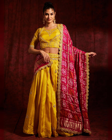 Gota Embellished Lehenga Choli